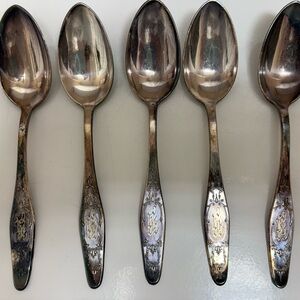 Elegant Silver Spoons Set